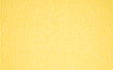 Lino Yellow Fabric