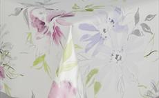 Iberia Bloom White