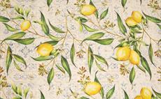 Citron Fabric