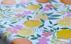 Citrus Flowers