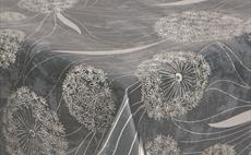 Dandelion Silver