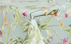 Birdy Spring