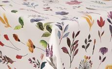 Flora >> DISCONTINUED