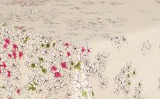 Floral Fantasy Cream