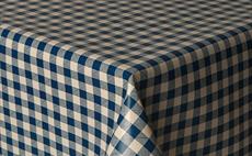 Gingham Blue