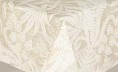 Guinea Beige