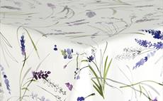 Lavender Fields >> OUT OF STOCK