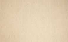 Lino Beige Fabric