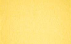 Lino Yellow Fabric