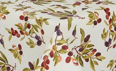 Olive Branch on Cream