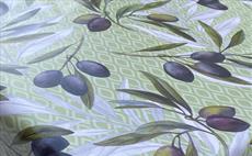 Olive Branch