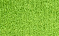 Turf