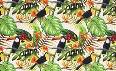 Toucan Fabric