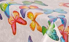 Butterfly Collector