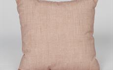 Zak Blush Cushion