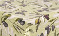 Olive Branch